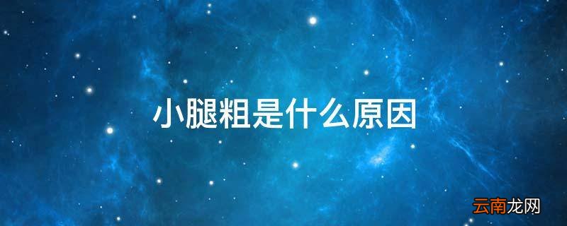 小腿粗是什么原因