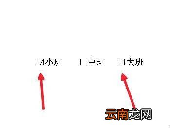 word里点击方框打钩怎么做