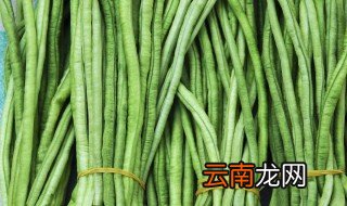 豇豆怎样储存留冬天吃 豇豆储存方法