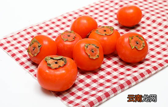 红柿子的功效与作用 红柿子的功效与作用是什么