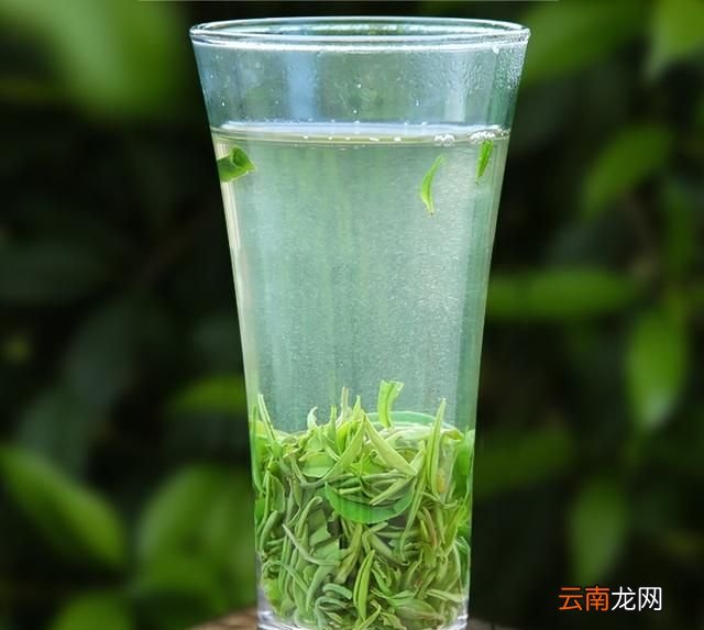 为什么绿茶有苦涩味,带苦涩味的绿茶有哪些