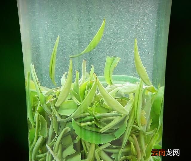 为什么绿茶有苦涩味,带苦涩味的绿茶有哪些