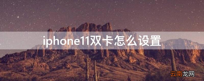 iphone11双卡怎么设置流量用哪个卡 iPhone11双卡怎么设置