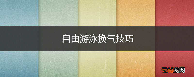 自由游泳换气技巧