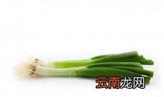 冬天怎样能储存好大葱 保存大葱的方法介绍