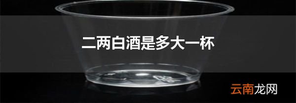 二两白酒是多大一杯