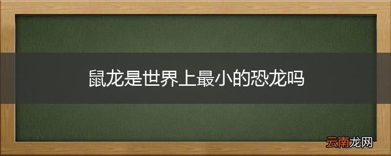 鼠龙是世界上最小的恐龙吗