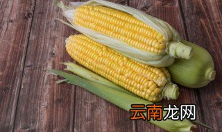 玉米汁的简单做法 玉米汁的简单做法是什么