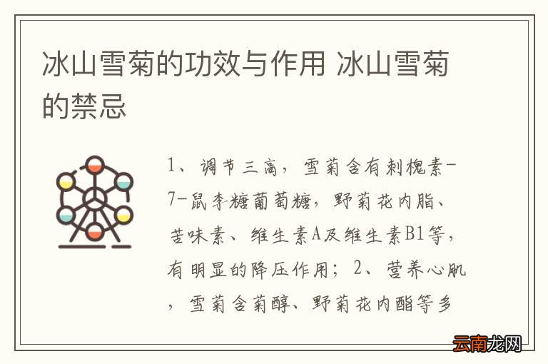 冰山雪菊的功效与作用 冰山雪菊的禁忌