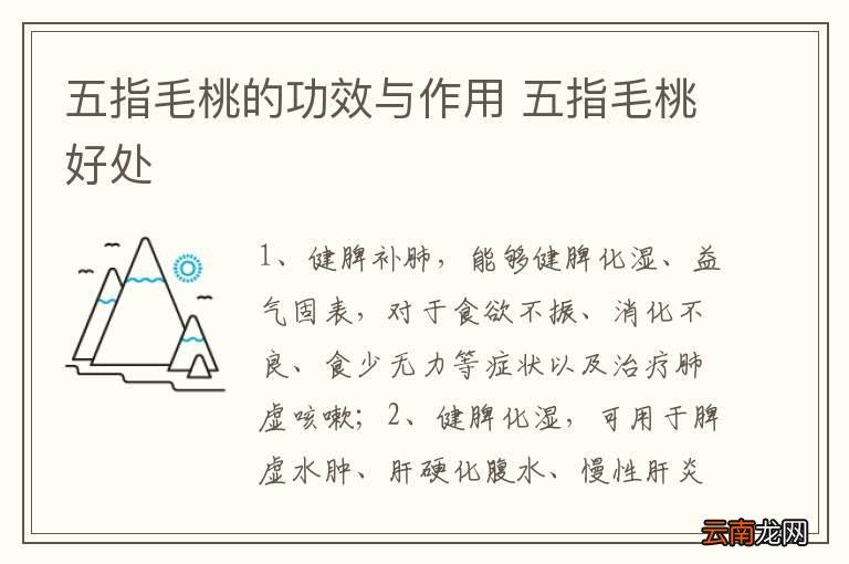 五指毛桃的功效与作用 五指毛桃好处