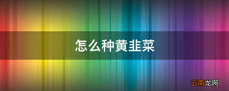 怎么种黄韭菜