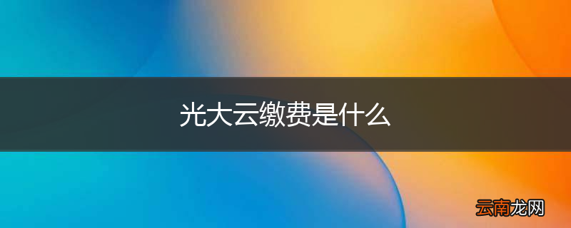 光大云缴费是什么