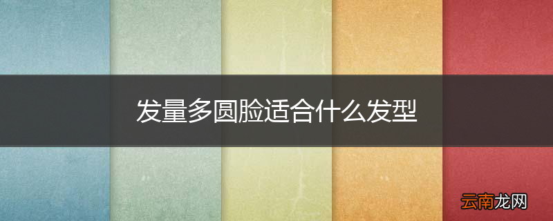 发量多圆脸适合什么发型