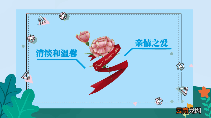 康乃馨花语和寓意 康乃馨花语和寓意是什么