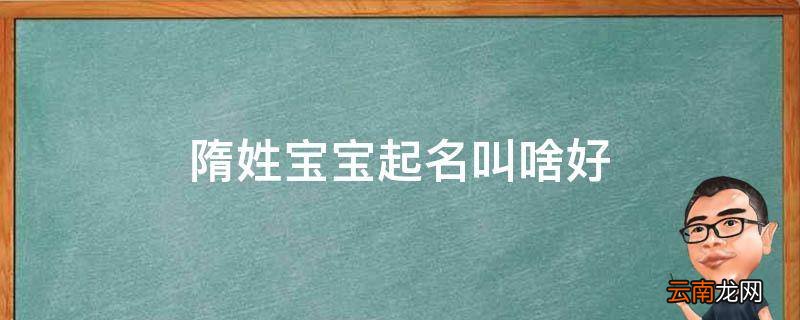 隋姓宝宝起名叫啥好
