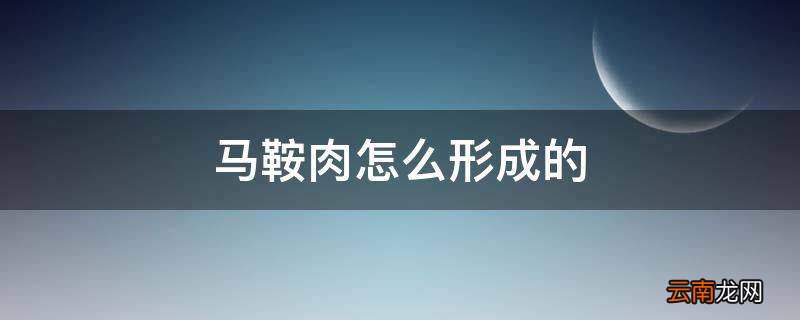 马鞍肉怎么形成的