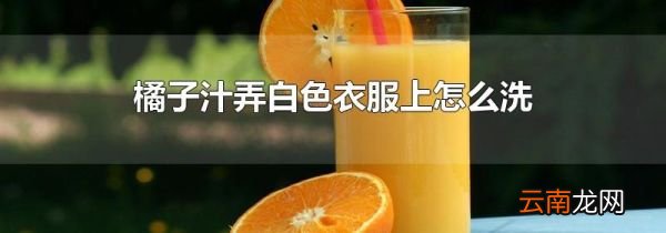 橘子汁弄白色衣服上怎么洗