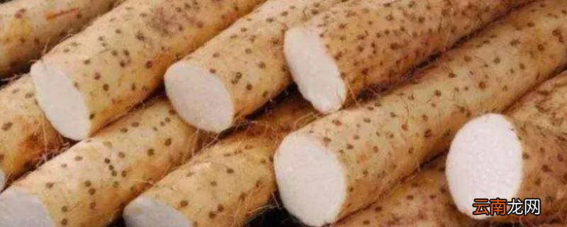 山药怎样吃最有营养