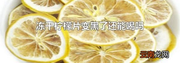 冻干柠檬片变黑了还能喝吗