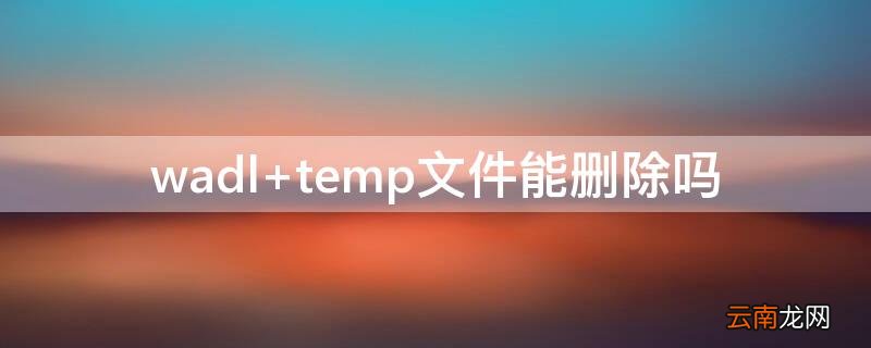 wadl temp文件能删除吗