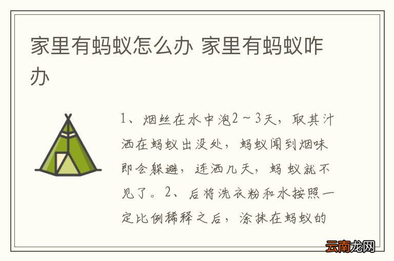 家里有蚂蚁怎么办 家里有蚂蚁咋办