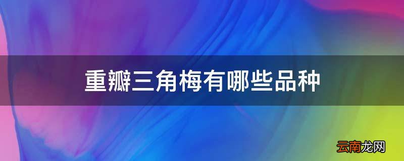 重瓣三角梅有哪些品种