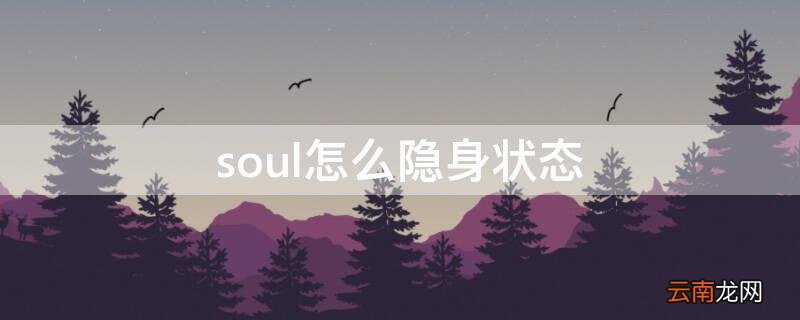 soul怎么隐身状态 soul如何发隐身状态