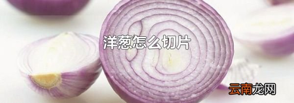 洋葱怎么切片