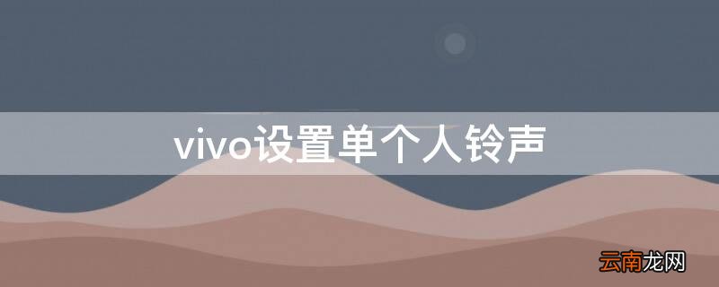 vivo设置单个人铃声 vivo怎么设置单个联系人铃声