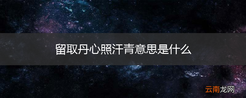 留取丹心照汗青意思是什么