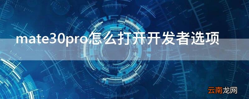 mate30pro怎么打开开发者选项