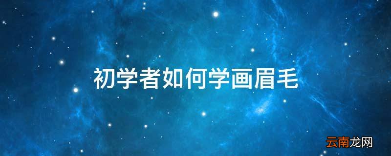 初学者如何学画眉毛