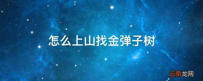 怎么上山找金弹子树