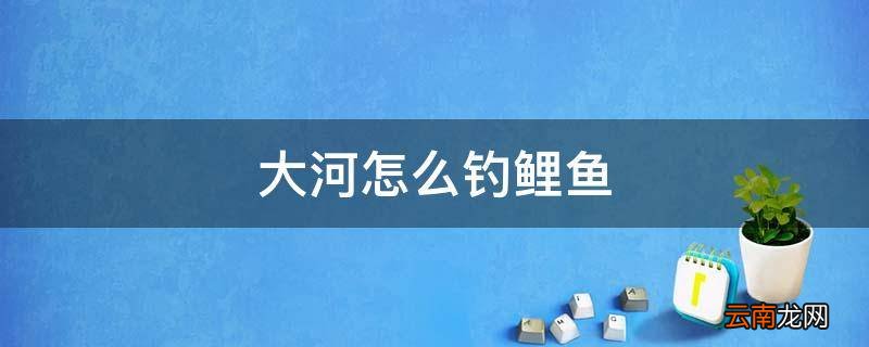 大河怎么钓鲤鱼
