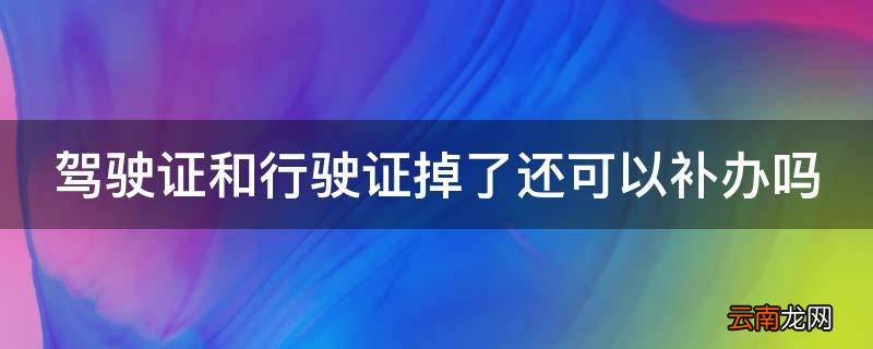 驾驶证和行驶证掉了还可以补办吗
