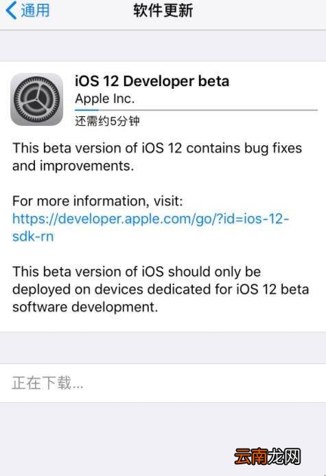 苹果六升级ios12