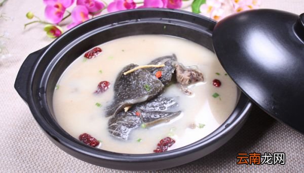 甲鱼最喜欢吃什么食物 甲鱼的营养价值