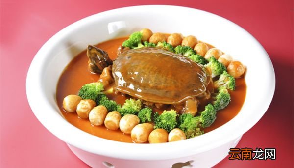甲鱼最喜欢吃什么食物 甲鱼的营养价值