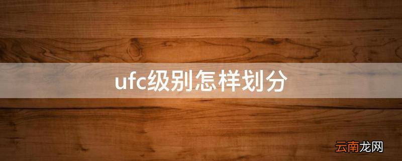 ufc级别怎样划分