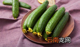 小黄瓜是水果黄瓜吗 小黄瓜属不属于水果黄瓜