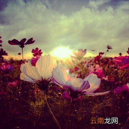 3 适合六个月宝宝的营养食谱