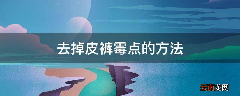 去掉皮裤霉点的方法