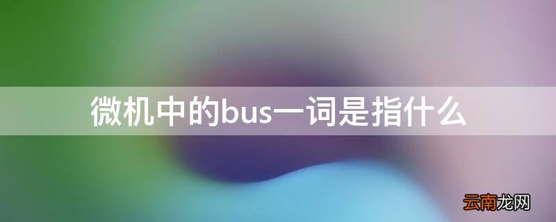微机中的bus一词是指什么 微机中的BUS一词是指