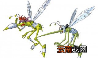 下雨天蚊子去哪里了 下雨天蚊子去了什么地方