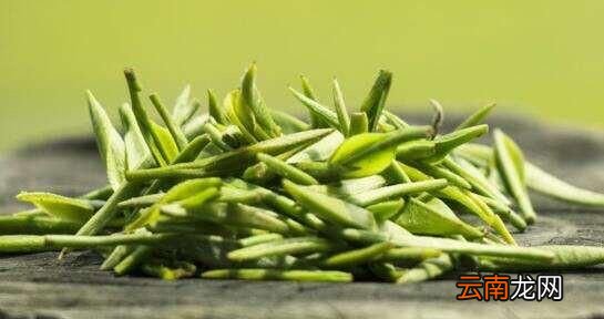茶叶采摘有什么标准