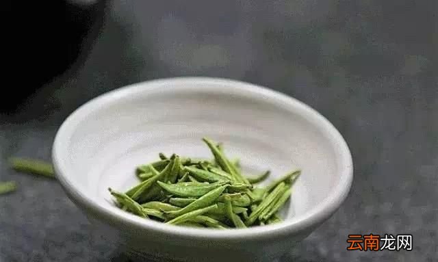 茶叶采摘有什么标准