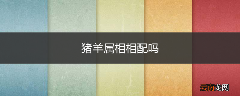 猪羊属相相配吗