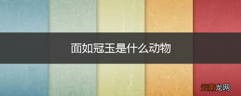 面如冠玉是什么动物