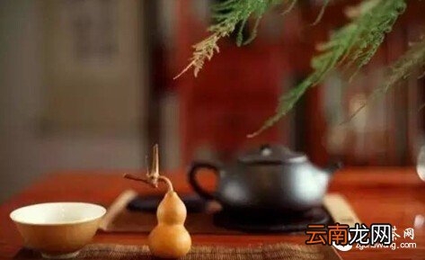 淡茶温饮 ，竟能最养生