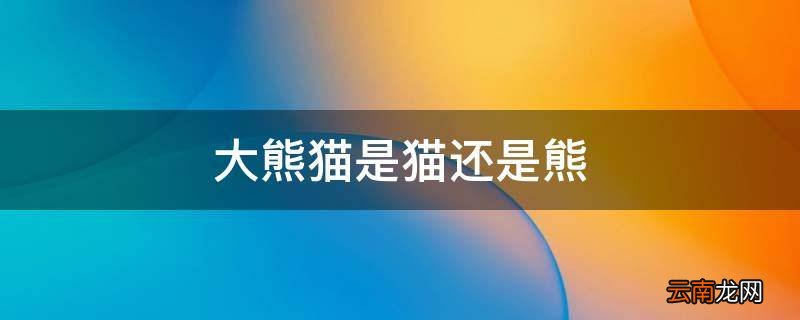 大熊猫是猫还是熊